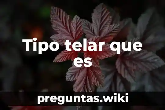 Tipo telar que es