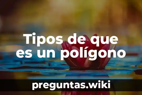 Tipos de que es un polígono