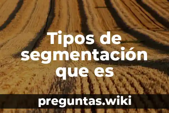 Tipos de segmentación que es
