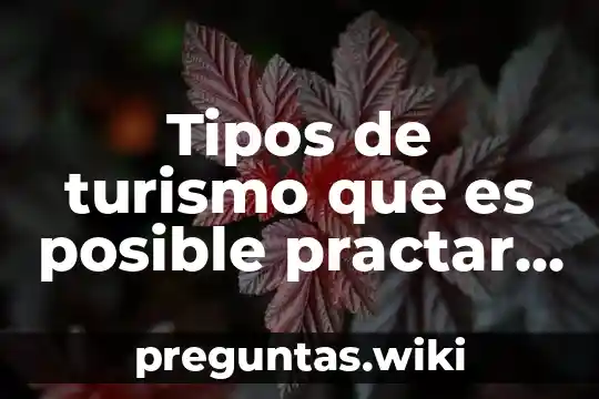 Tipos de turismo que es posible practar en Mazatlán