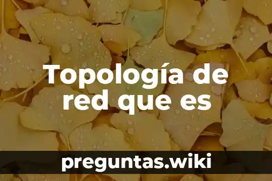 Topología de red que es