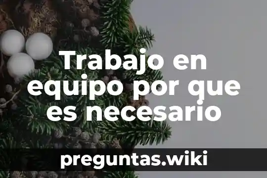 Trabajo en equipo por que es necesario
