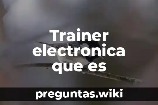 Trainer electronica que es