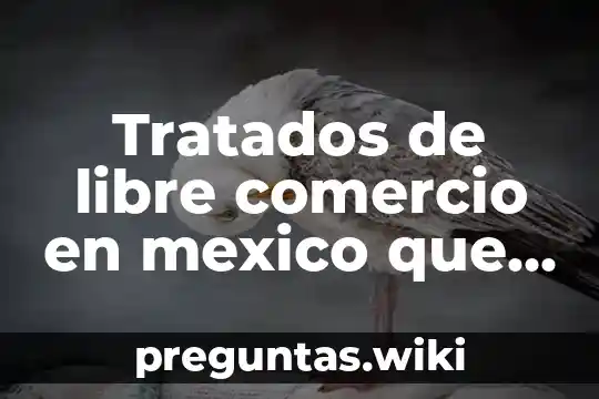 Tratados de libre comercio en mexico que es