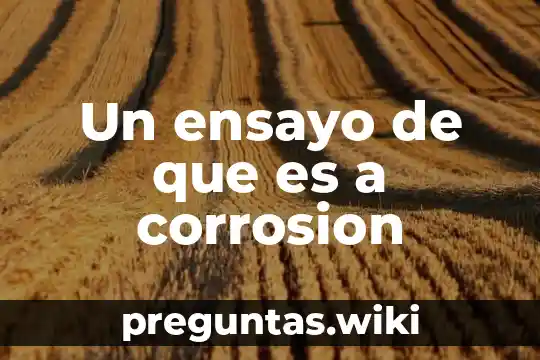 Un ensayo de que es a corrosion