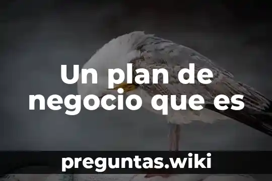 Un plan de negocio que es