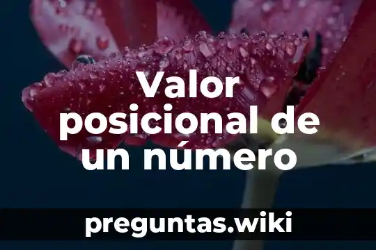 Valor posicional de un número