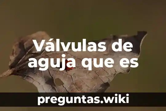 Válvulas de aguja que es