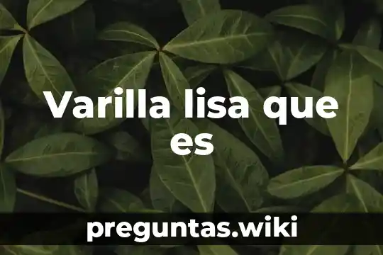 Varilla lisa que es