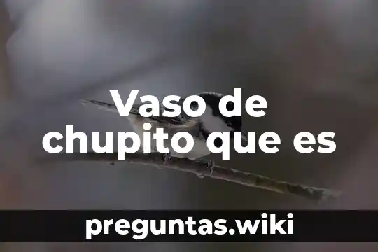 Vaso de chupito que es
