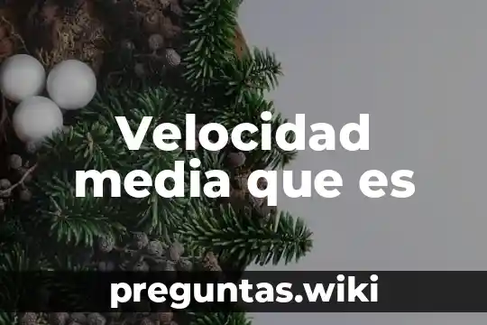 Velocidad media que es