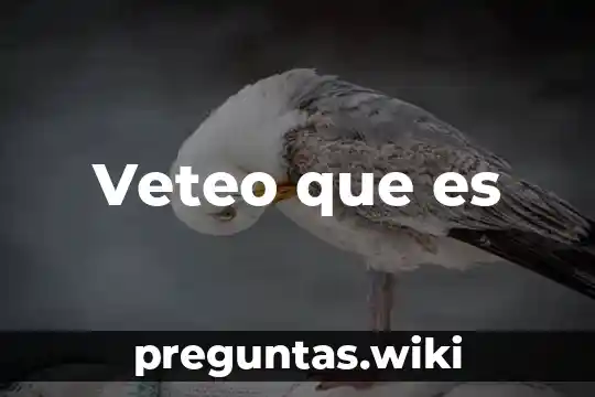 Veteo que es