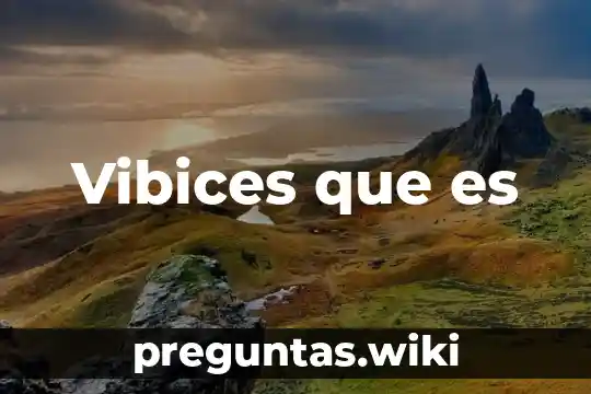 Vibices que es