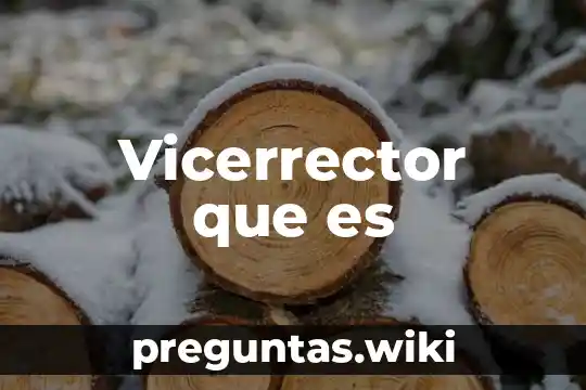 Vicerrector que es