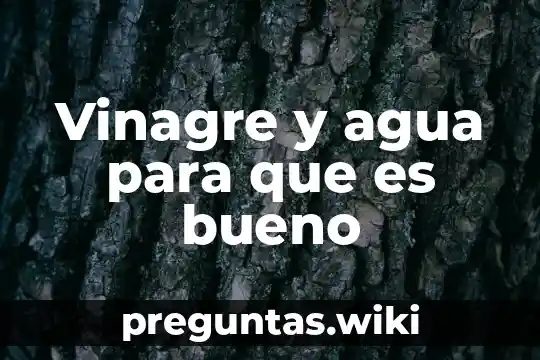 Vinagre y agua para que es bueno