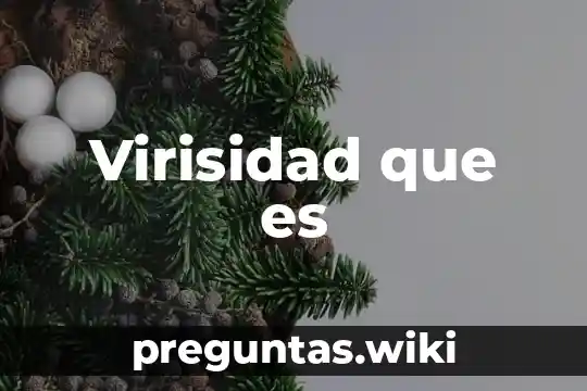 Virisidad que es