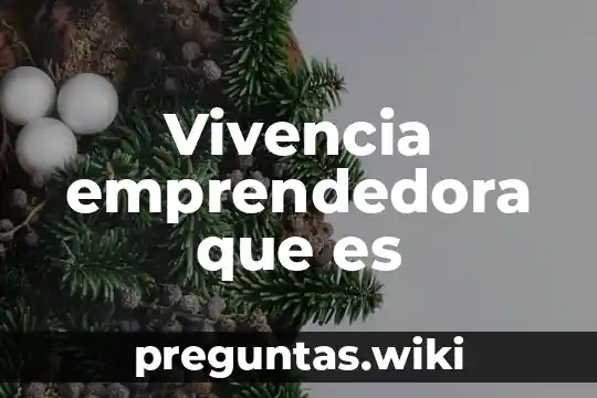 Vivencia emprendedora que es