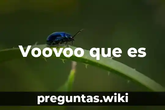Voovoo que es