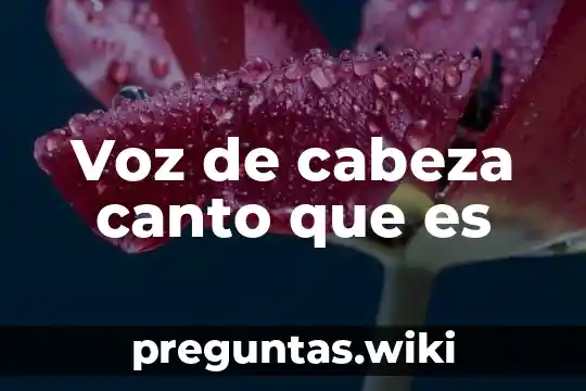 Voz de cabeza canto que es