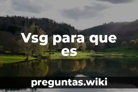Vsg para que es