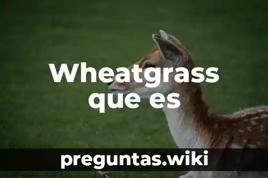 Wheatgrass que es
