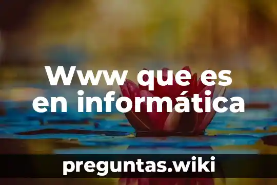 Www que es en informática