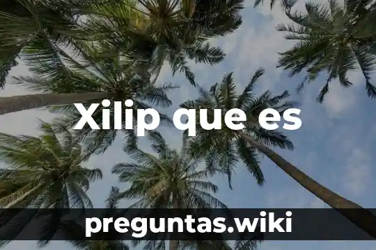Xilip que es