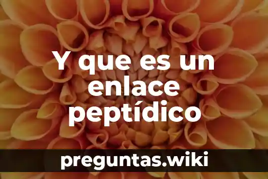 Y que es un enlace peptídico