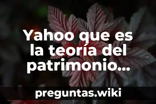 Yahoo que es la teoría del patrimonio personalidad