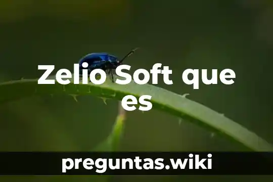 Zelio Soft que es