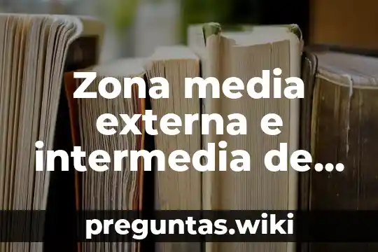Zona media externa e intermedia de la gestalt que es